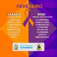 Campanha fevereiro laranja