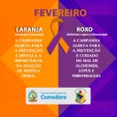 Campanha fevereiro laranja